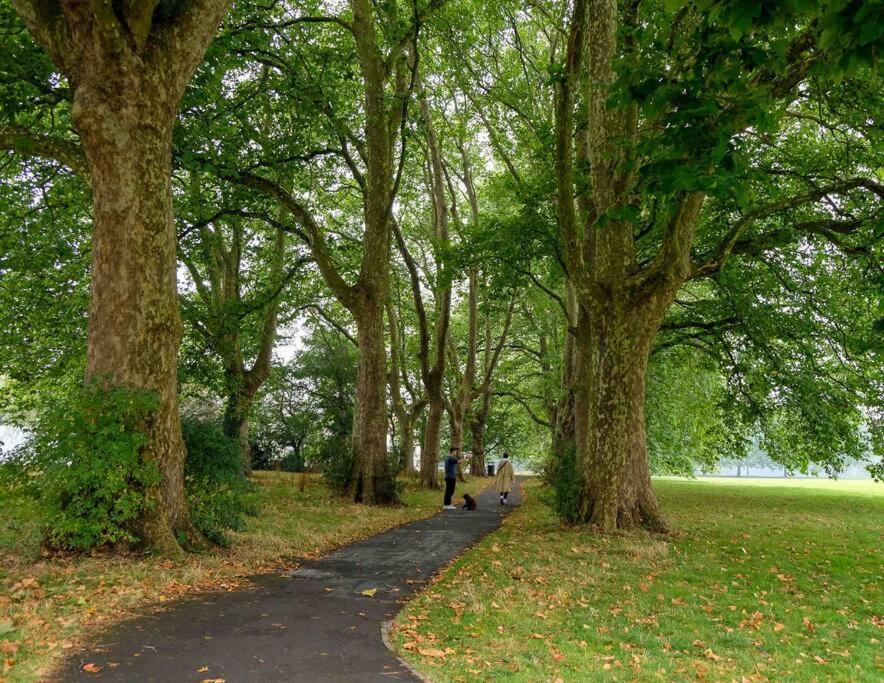 Garden Of Eden 1 Bedroom Flat In Fishponds ブリストル エクステリア 写真